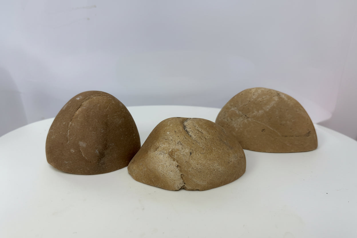 Bolos decorativos para acuarios