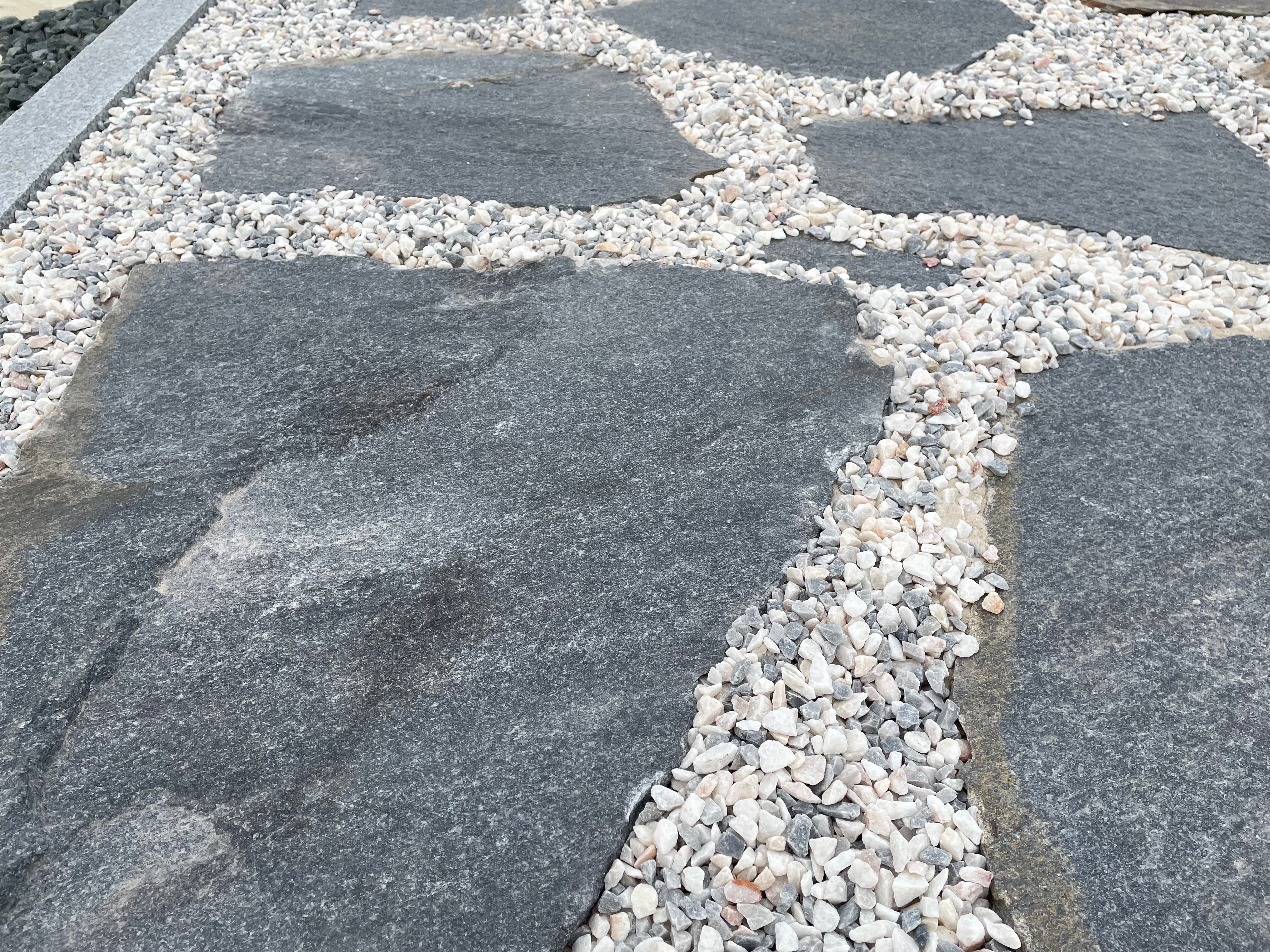 Planchoncillo Azulado