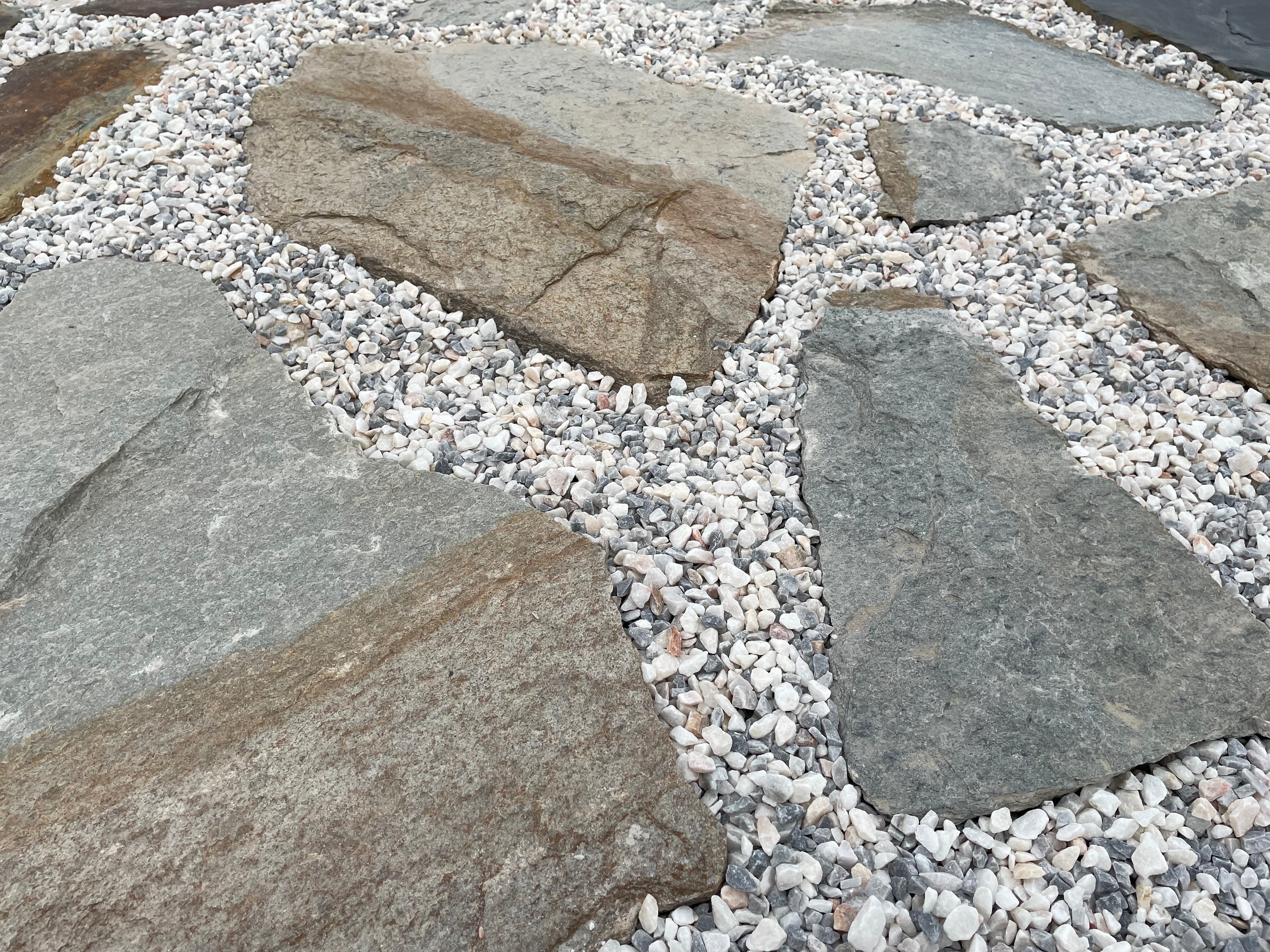 Planchoncillo Bicolor