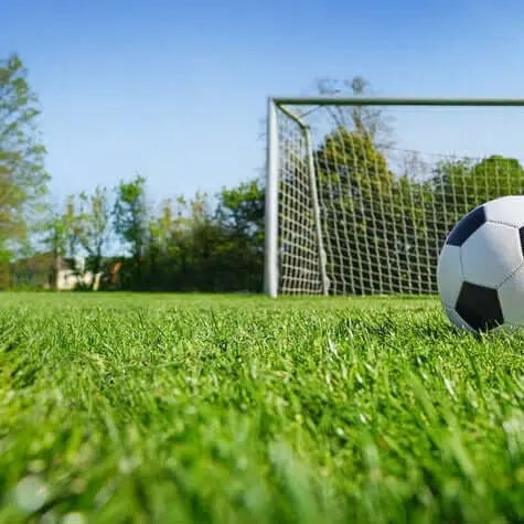 Sustrato para Césped Deportivo Vetonek