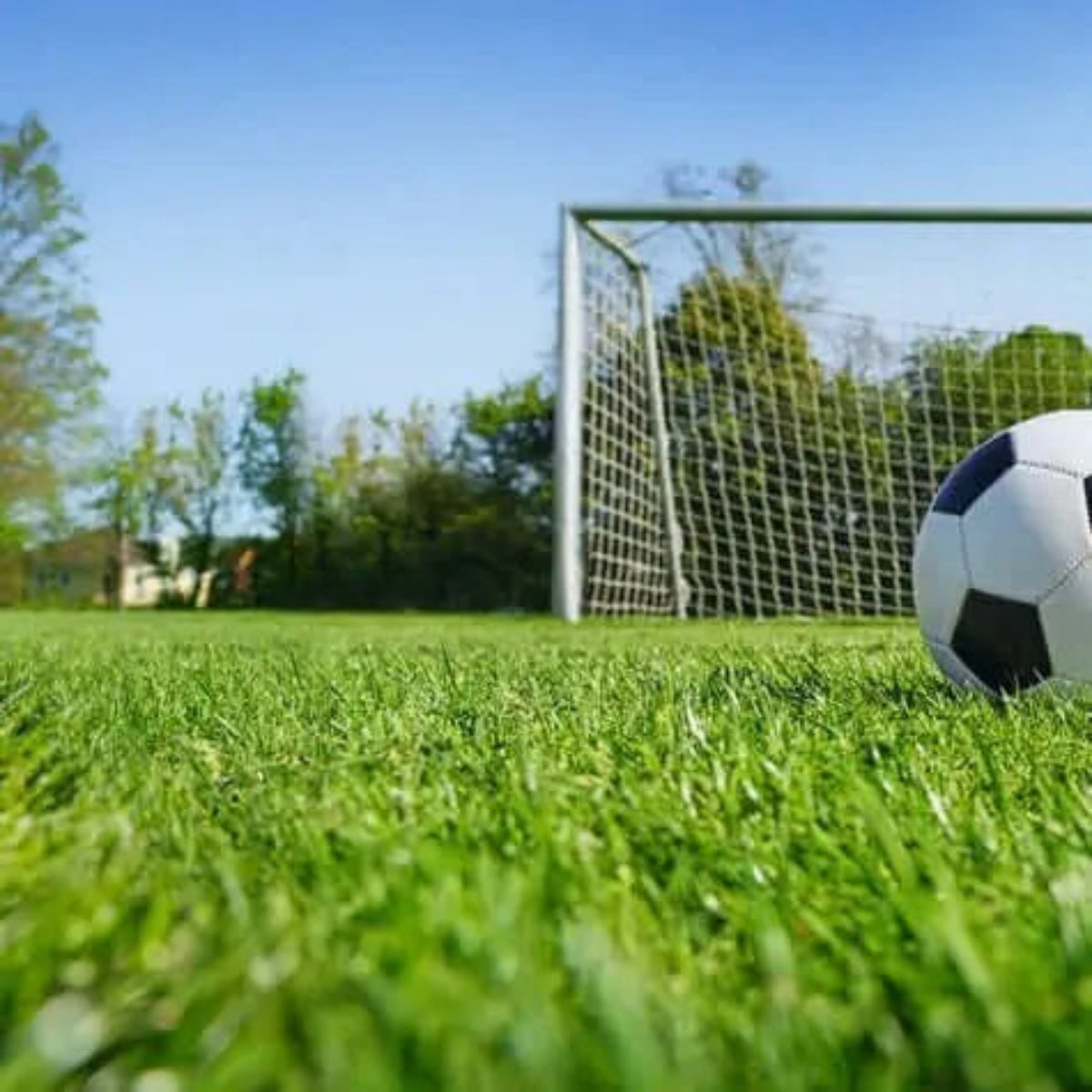 Sustrato para Césped Deportivo Premium Vetonek