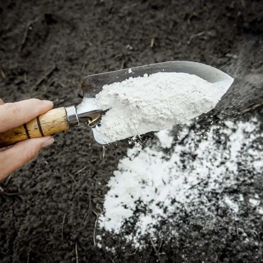 Cal Dolomita Plus Ceniza lava volcanica, Enmieda agricola, Fertilizante mineral, Fertilizante silicio, Harina basaltica, Lava Volcanica, Polvo basalto