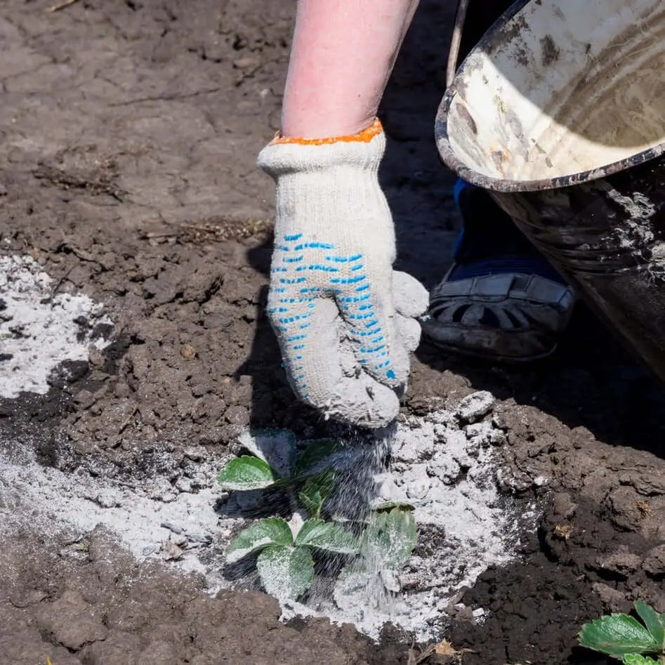 Harina de basalto agricultura Enmieda agricola, Fertilizante mineral, Fertilizante silicio, Harina basaltica, Polvo basalto