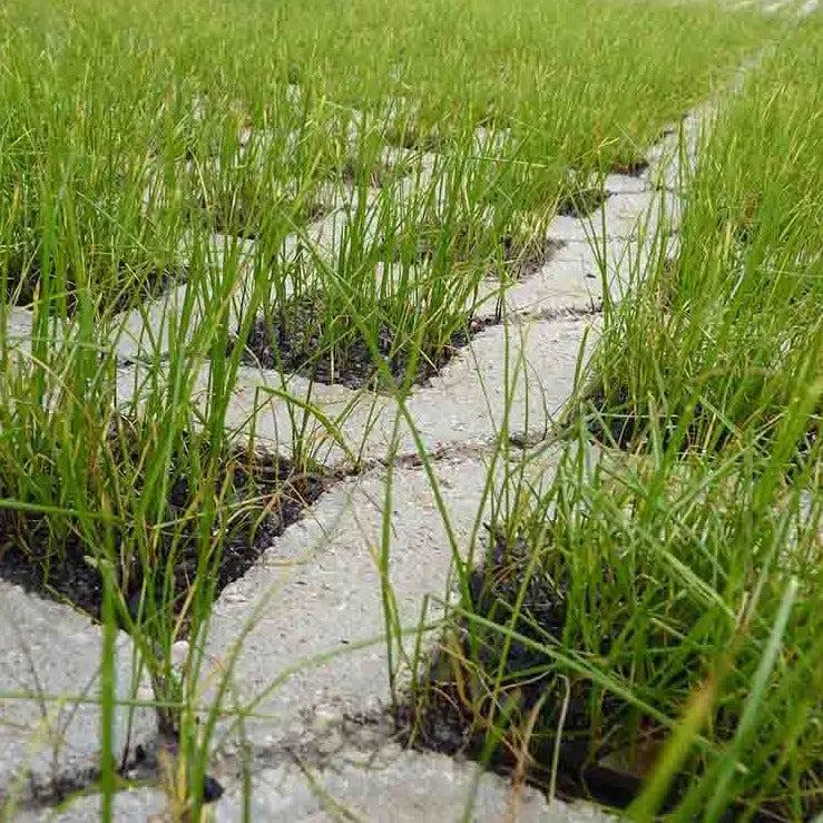 Losa Celosía Césped 50x50 cm. - Vetonek