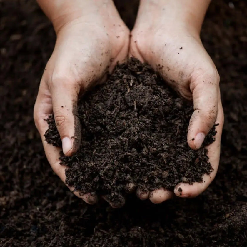 Humus de Lombriz - Vetonek