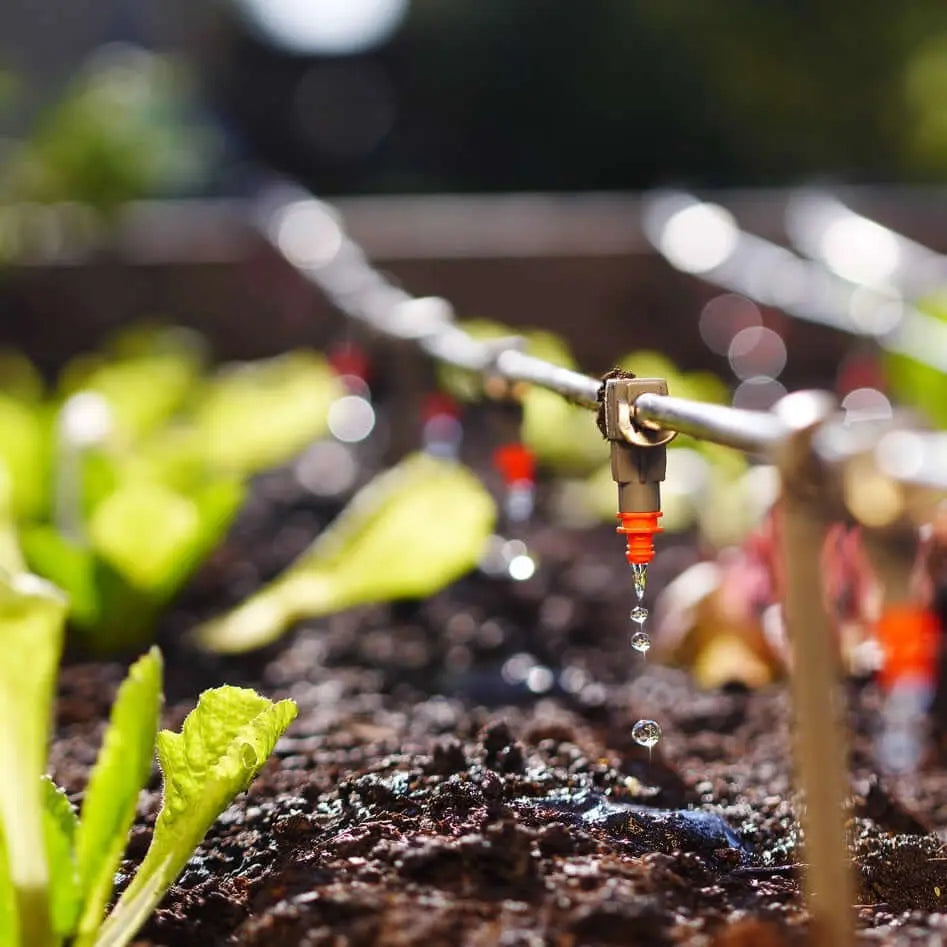 Harina de basalto agricultura Enmieda agricola, Fertilizante mineral, Fertilizante silicio, Harina basaltica, Polvo basalto