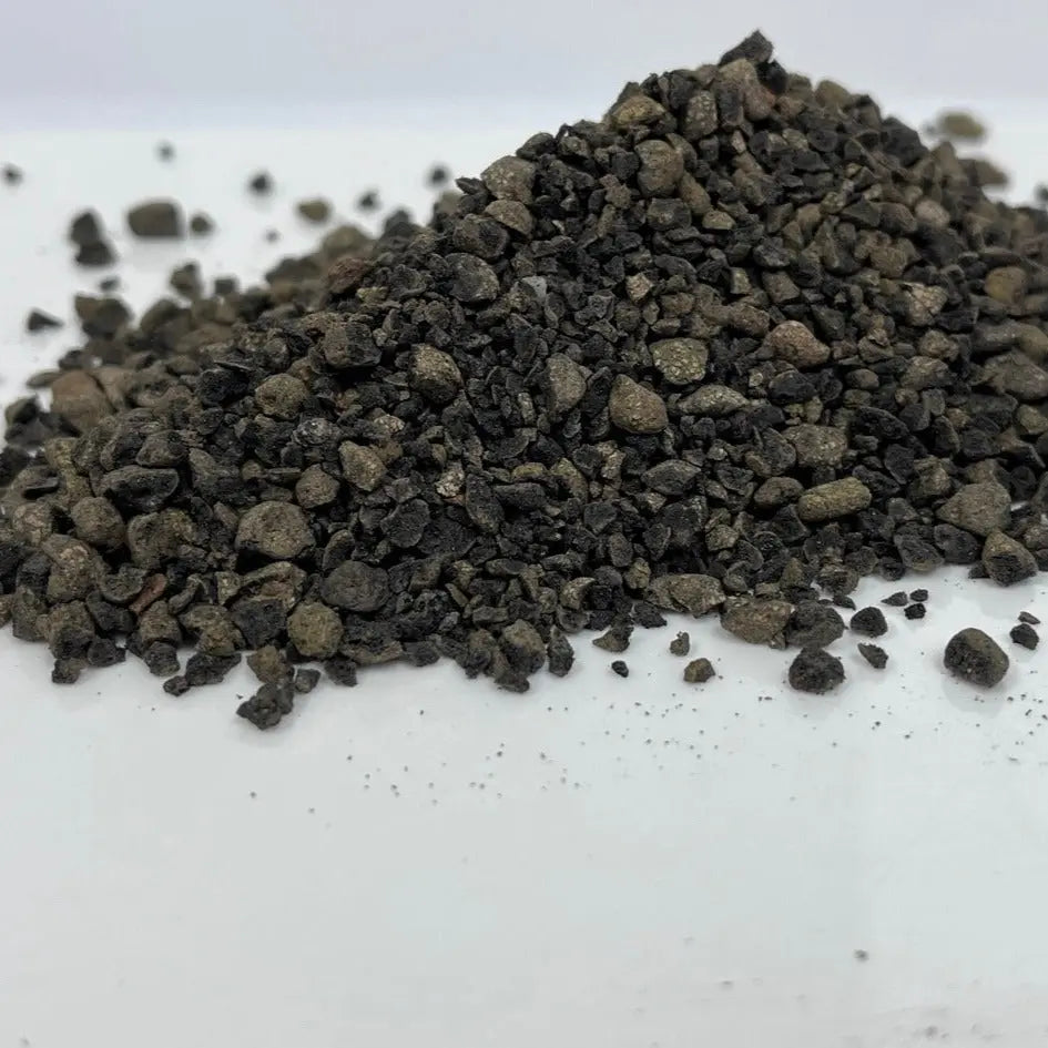 Sakura Terra - Alternativa Akadama - Vetonek