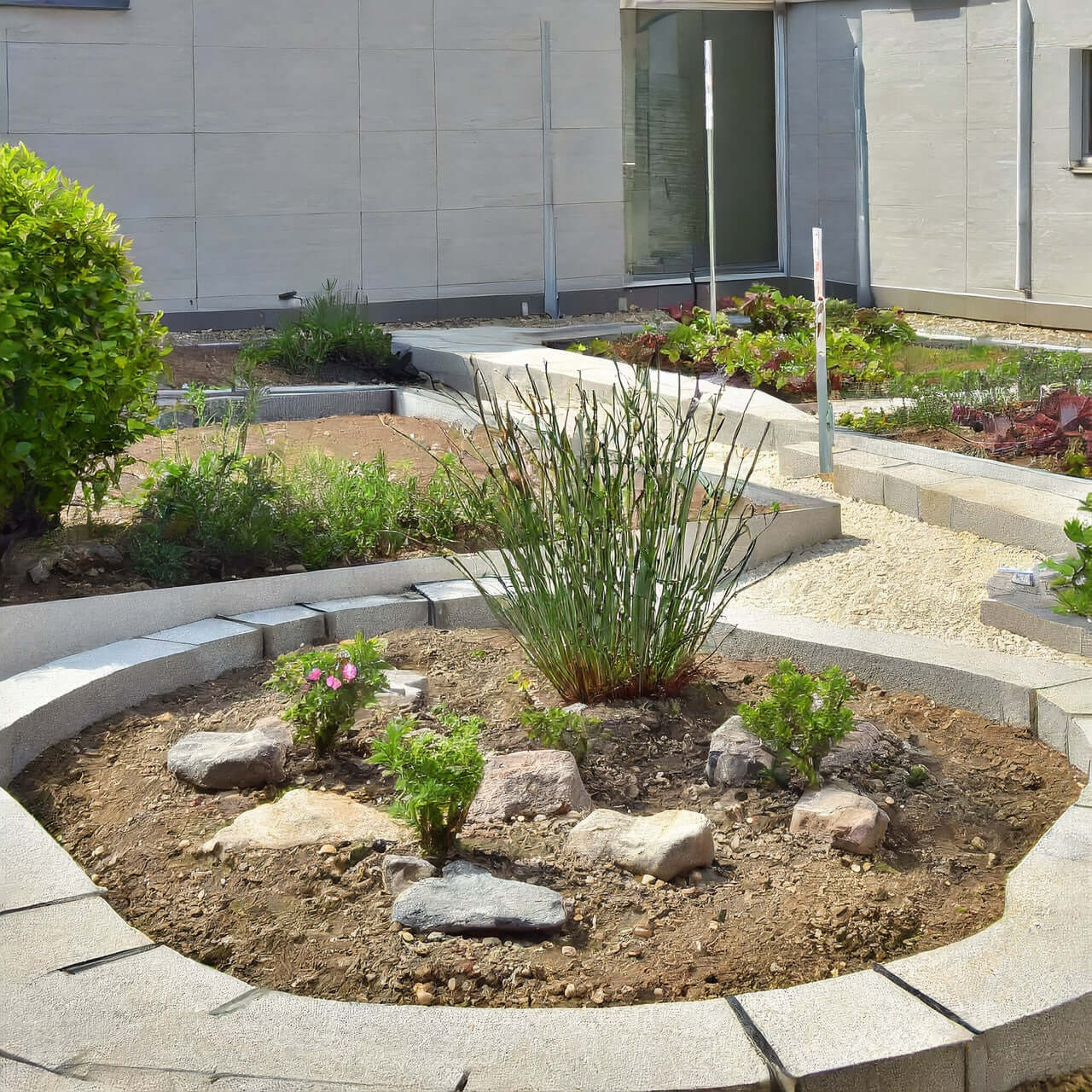 Sustrato Básico Jardín - Vetonek