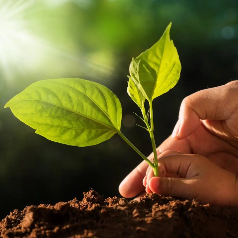 Tierra Vegetal Abonada - Vetonek