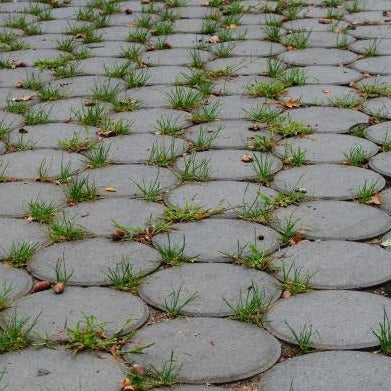 Pavé rond Vetonek
