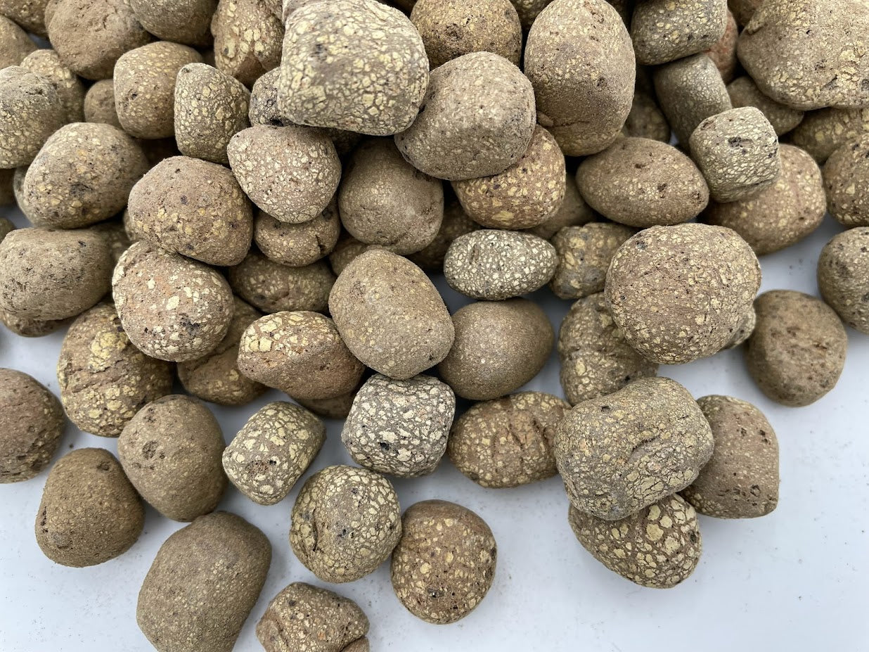 Argilestone - bille d'argile expansée