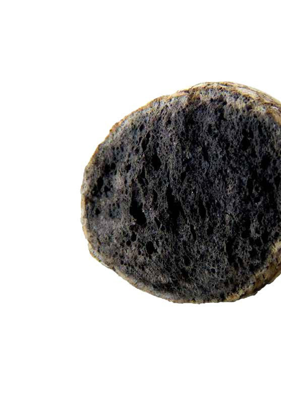 Argilestone - bille d'argile expansée
