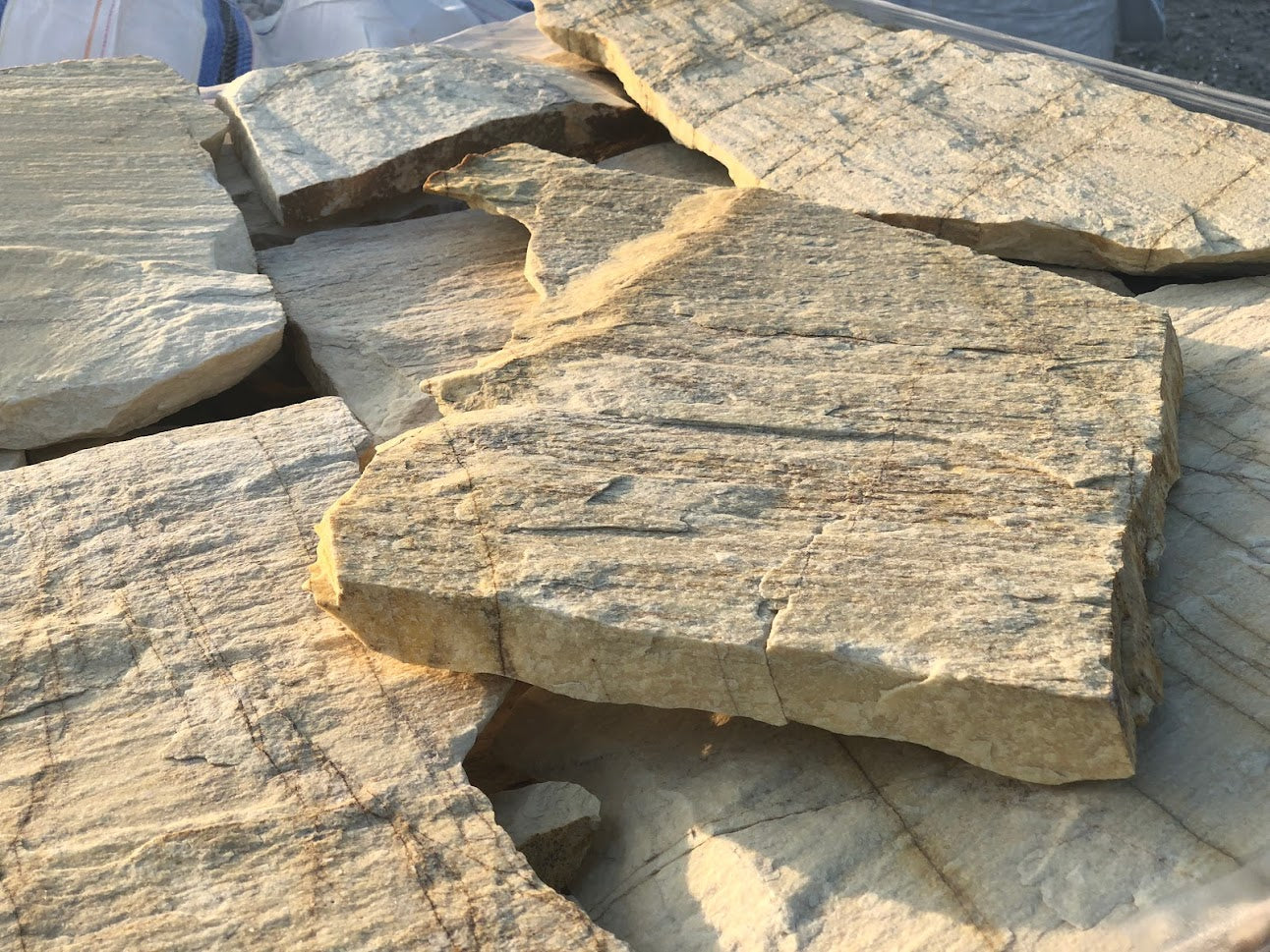 Planchoncillo Amarillo