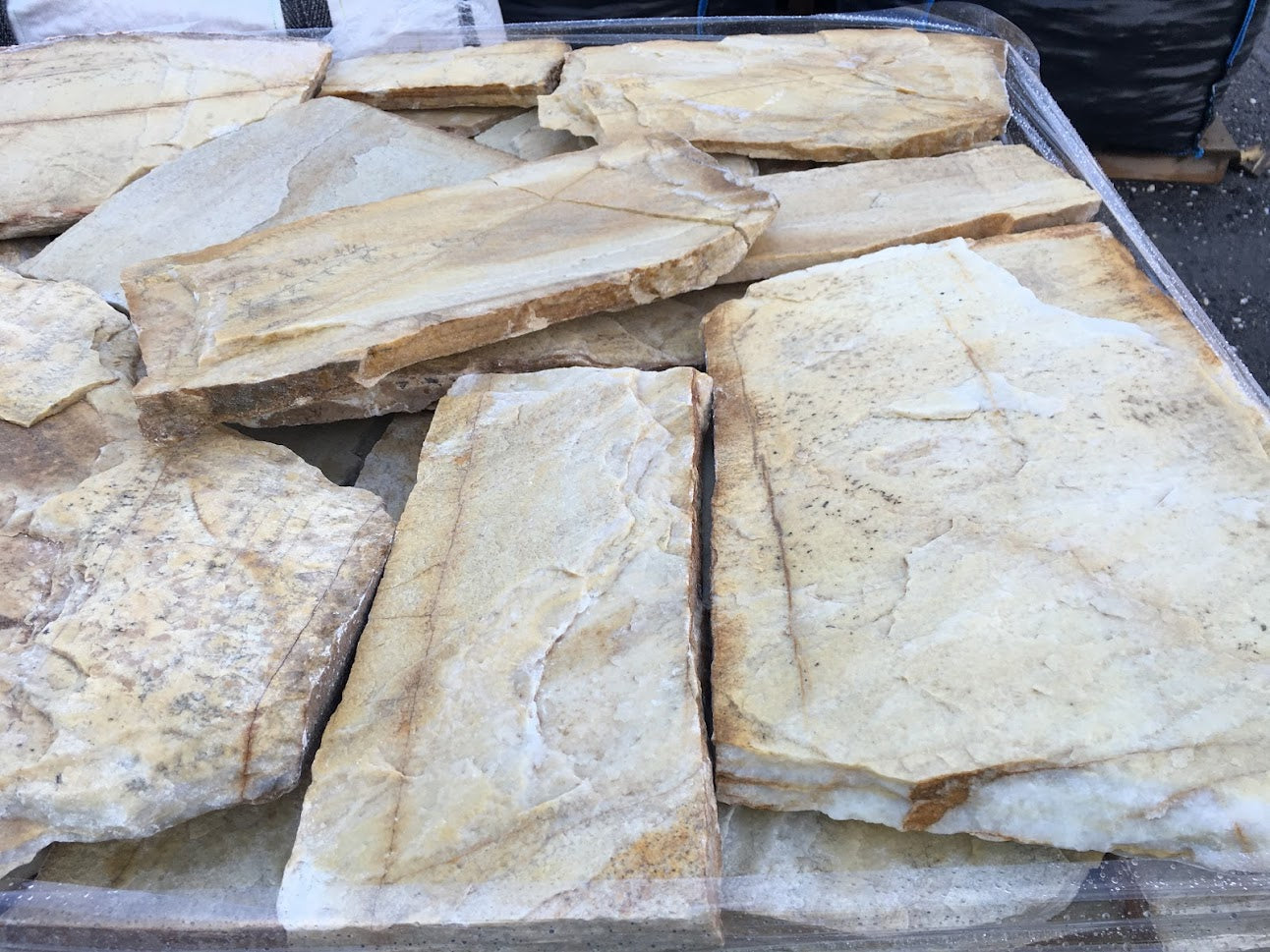 Planchoncillo Amarillo