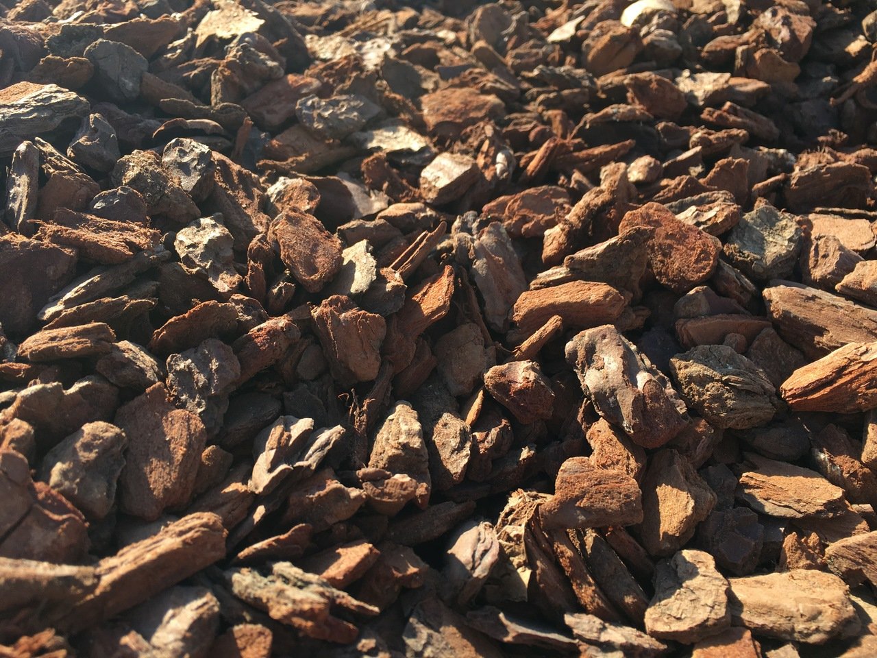 Corteza Pino Decorativa