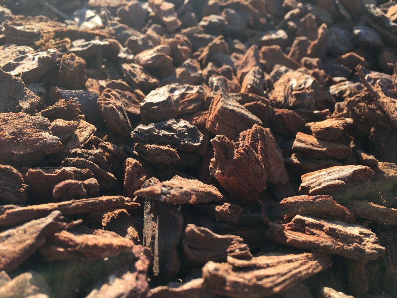 Corteza Pino Decorativa