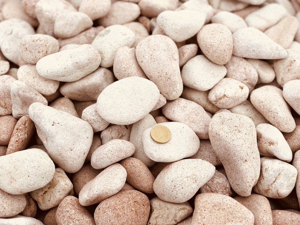 Canto rodado Rosa Toulouse