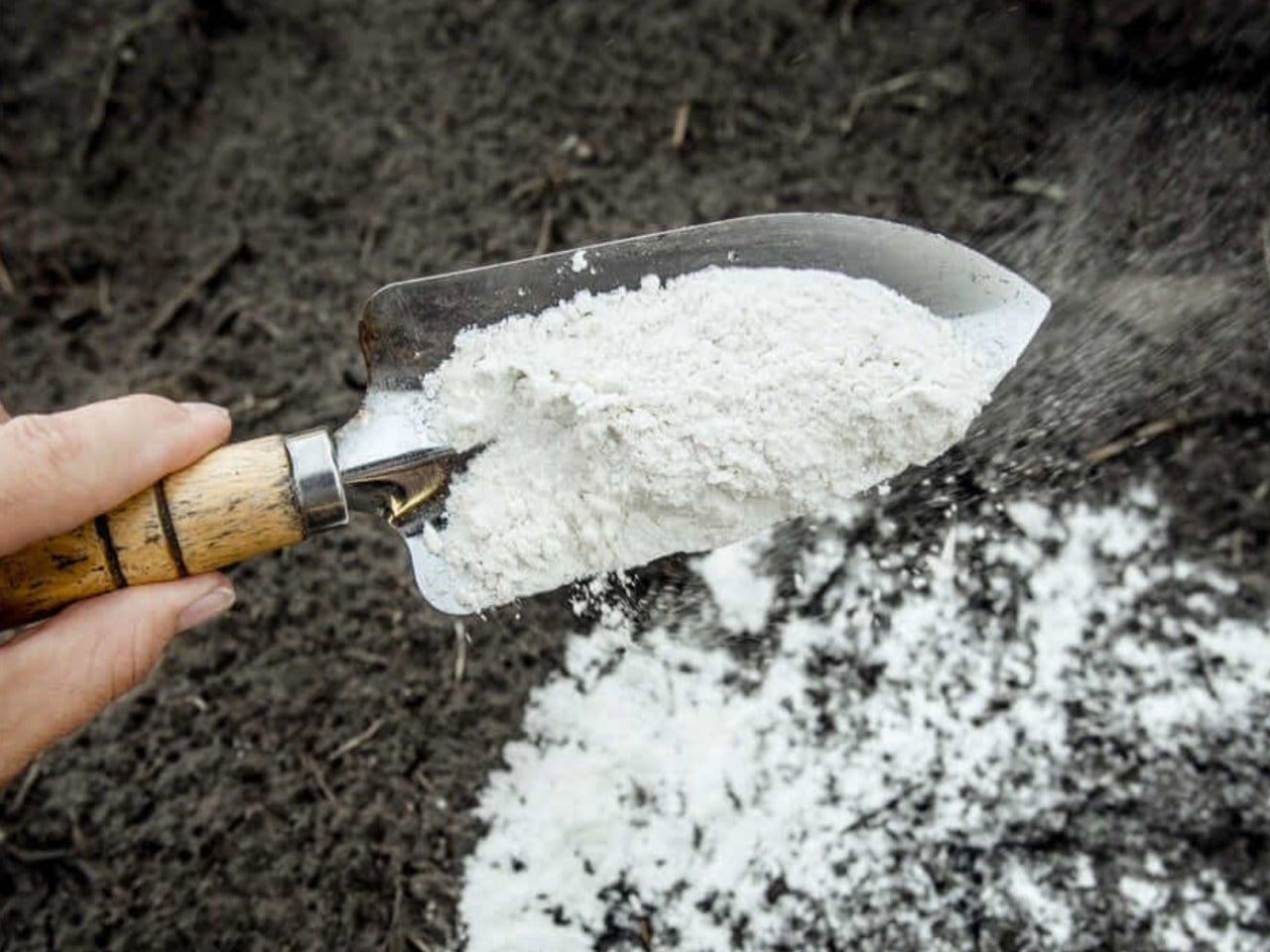 Revitalizador Suelos GreenMix Calcio y Magnesio