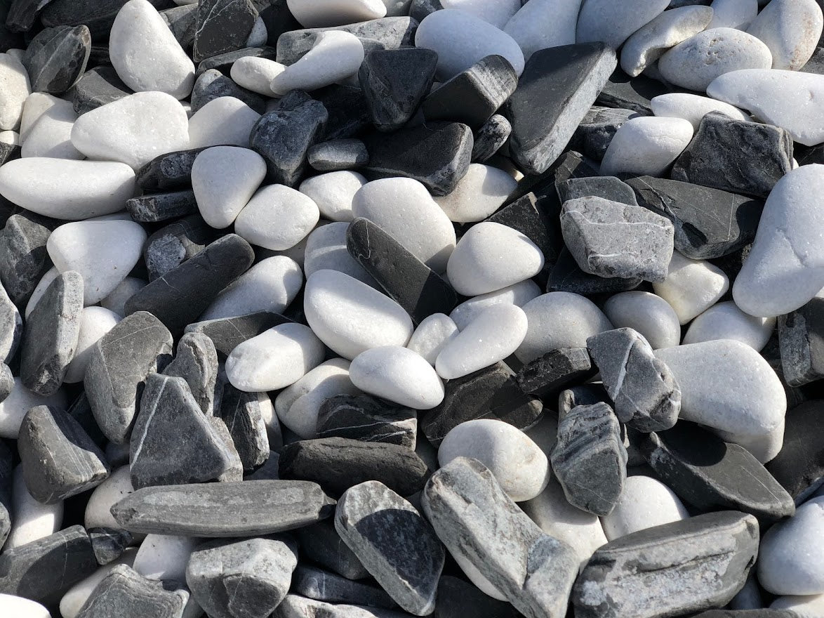 Galet Mixcolor Dalmate Laja