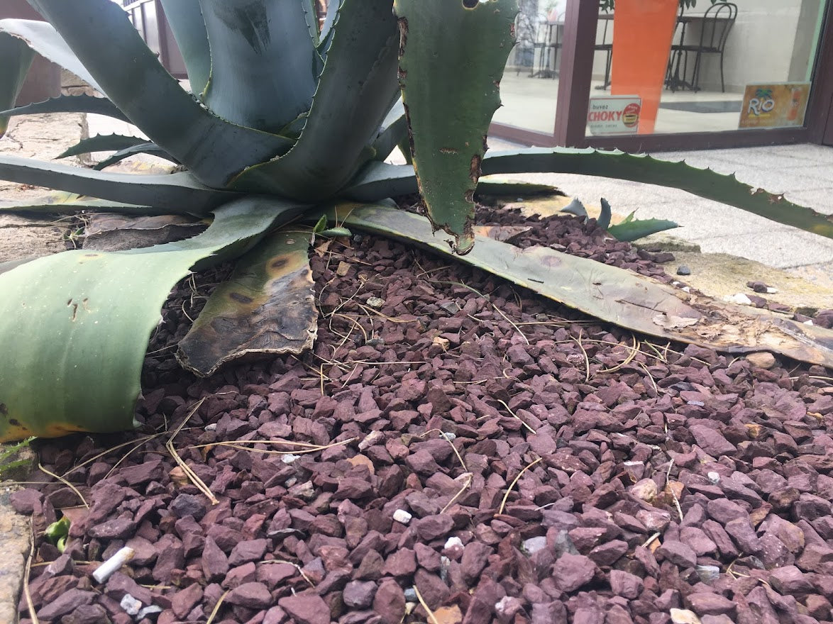 Concassé Rouge Bordeaux