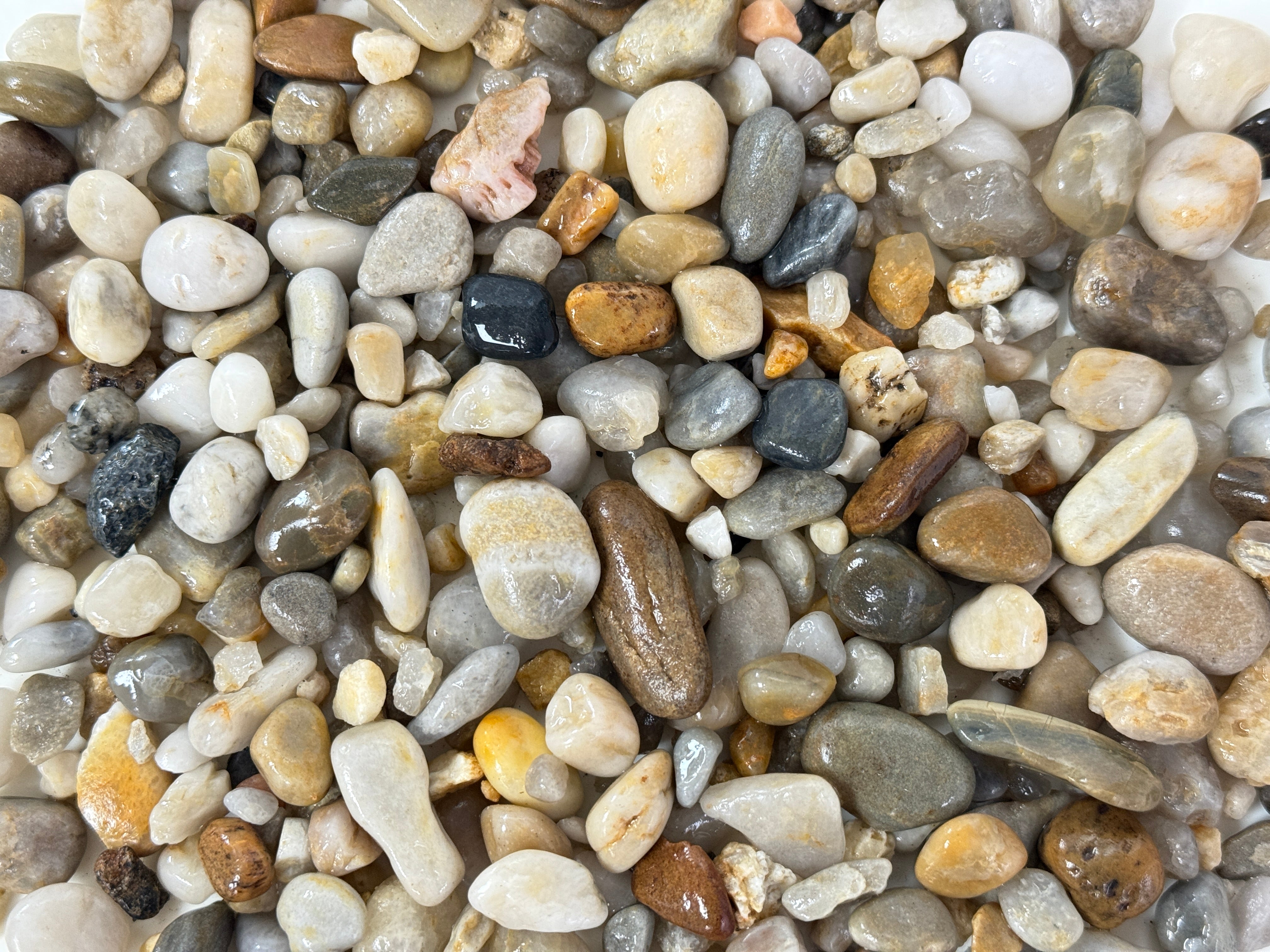 Canto rodado Rio Sagres