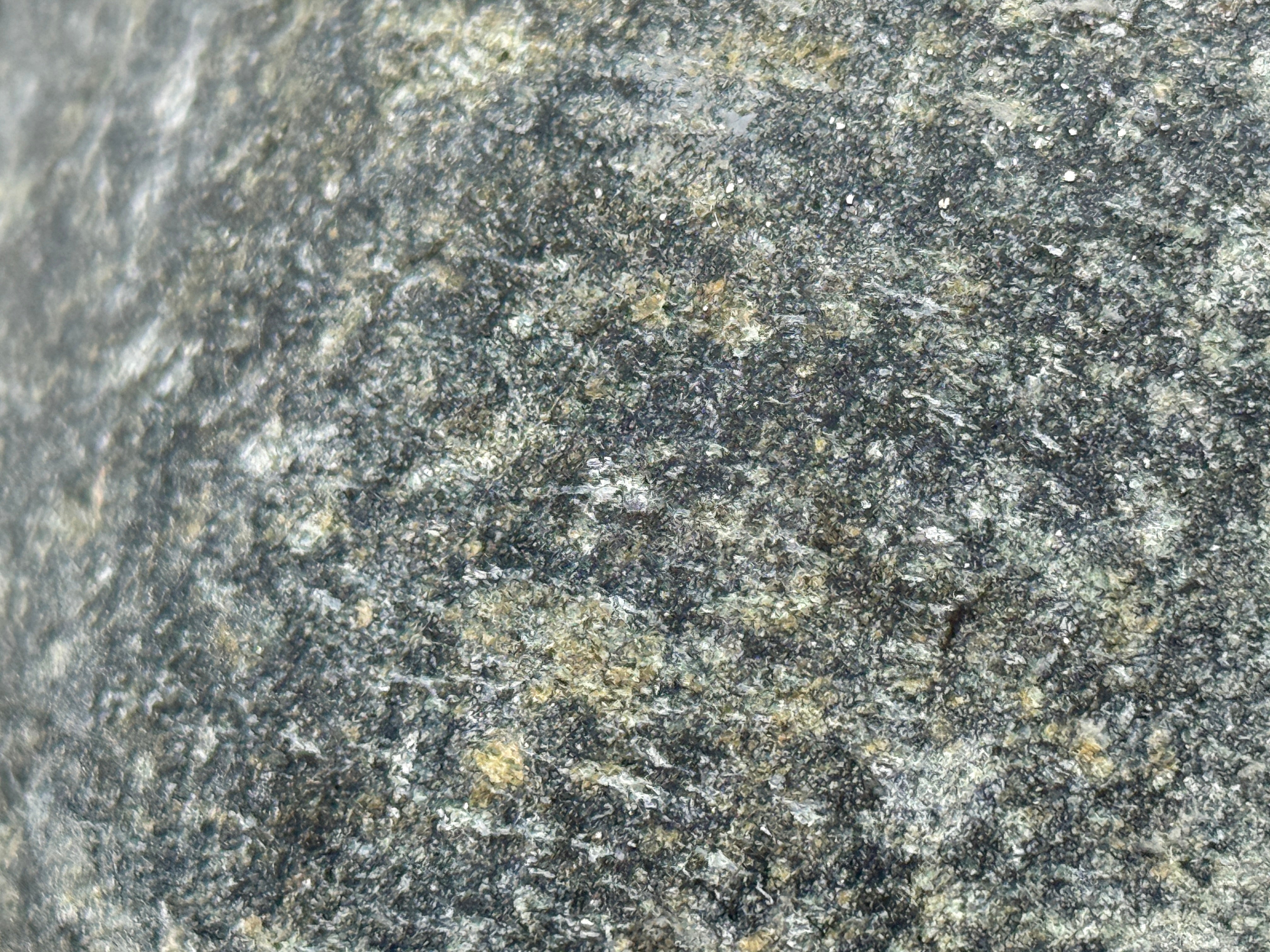 Bolo decorativo Black/Green