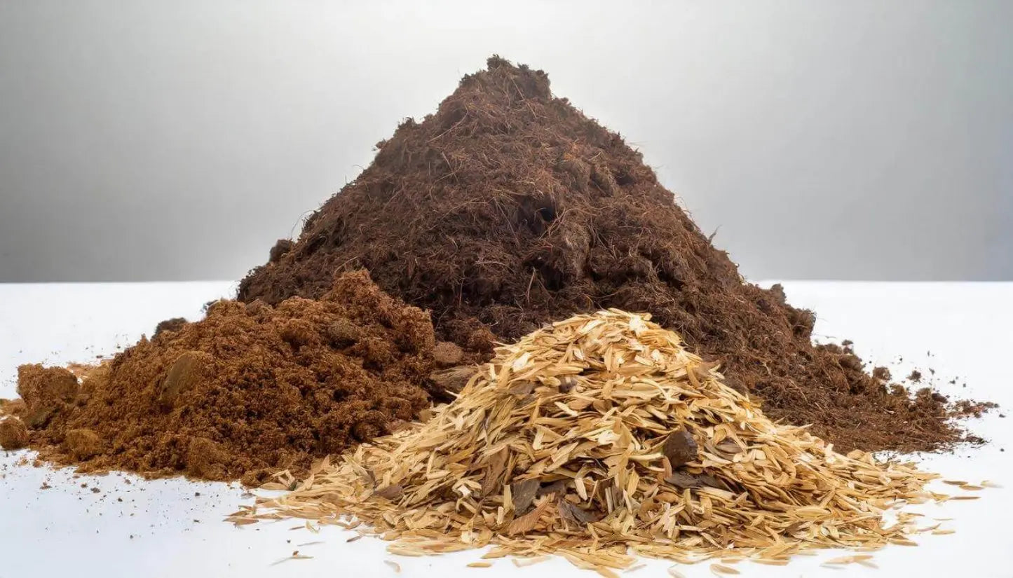 cascarilla de arroz humedad tierra