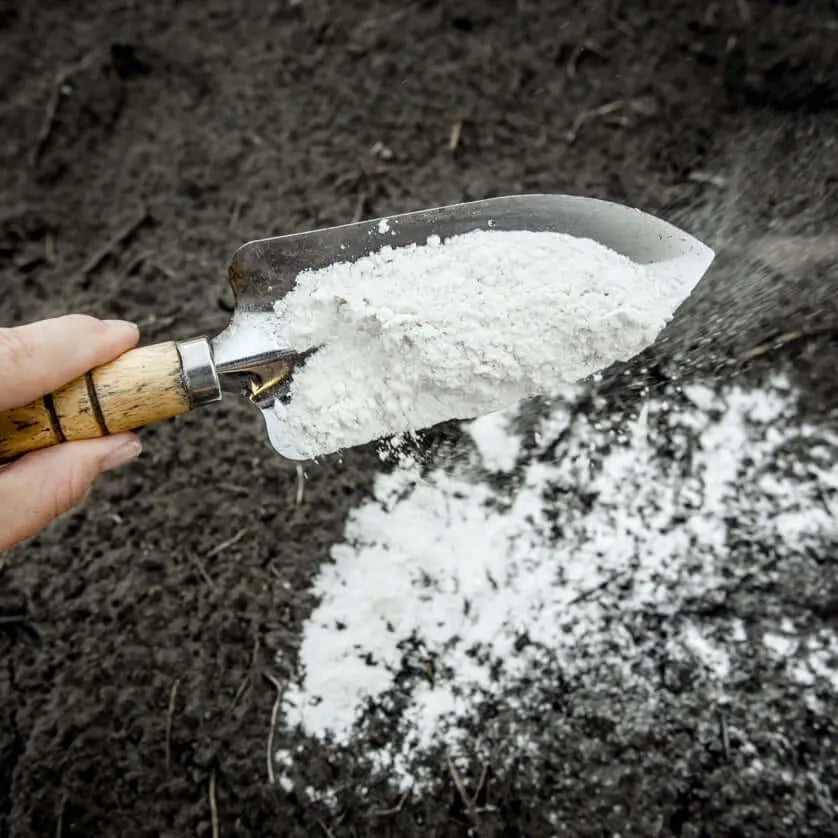 Harina de basalto agricultura Enmieda agricola, Fertilizante mineral, Fertilizante silicio, Harina basaltica, Polvo basalto